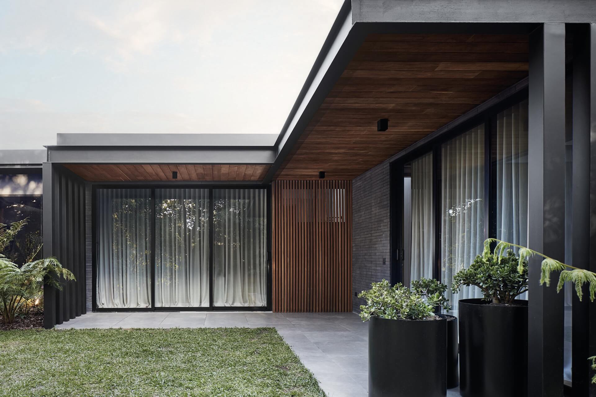 Close-up of premium wood grain